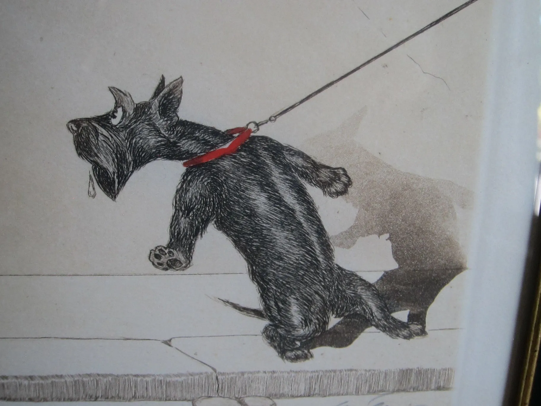 1930's signed Boris O Klein Canine Hand Colored Print - 'Tu Viens Beau Blond'