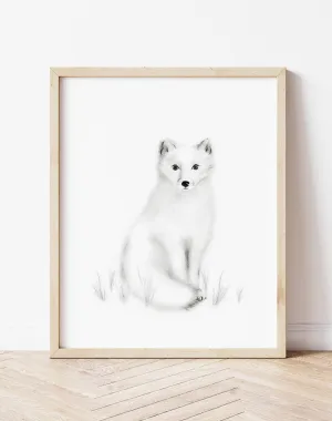 Arctic Fox Pencil Drawing Print