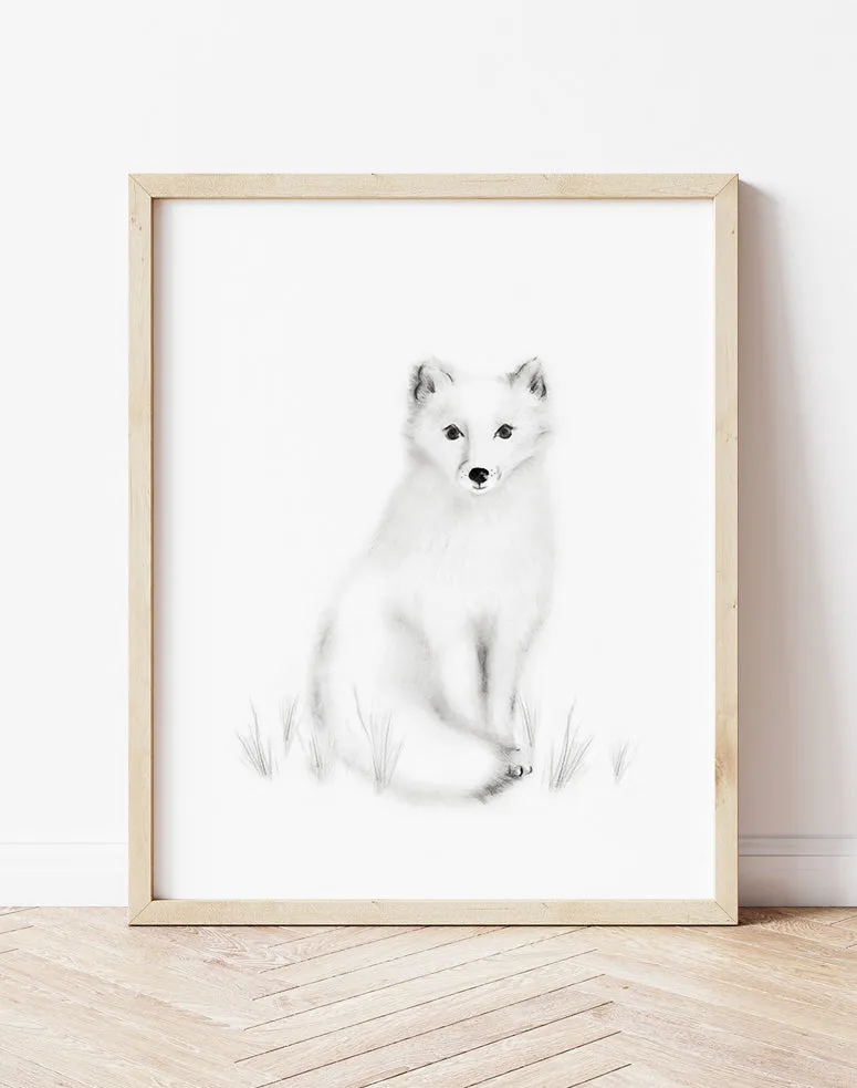 Arctic Fox Pencil Drawing Print