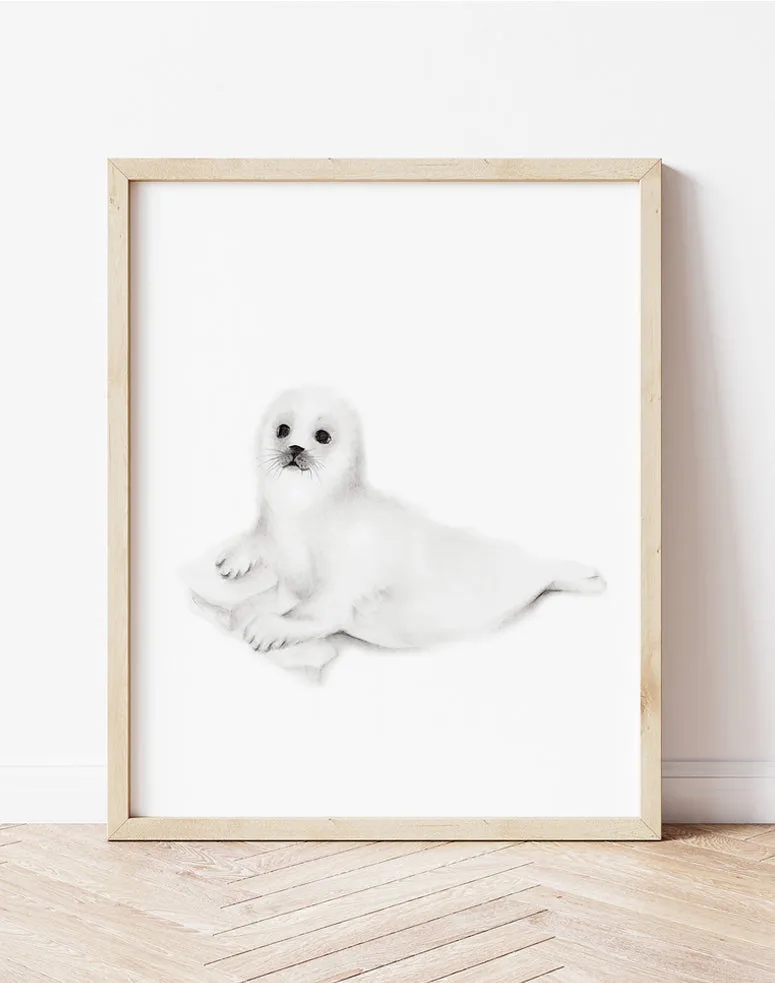 Baby Seal Cub Pencil Drawing Print