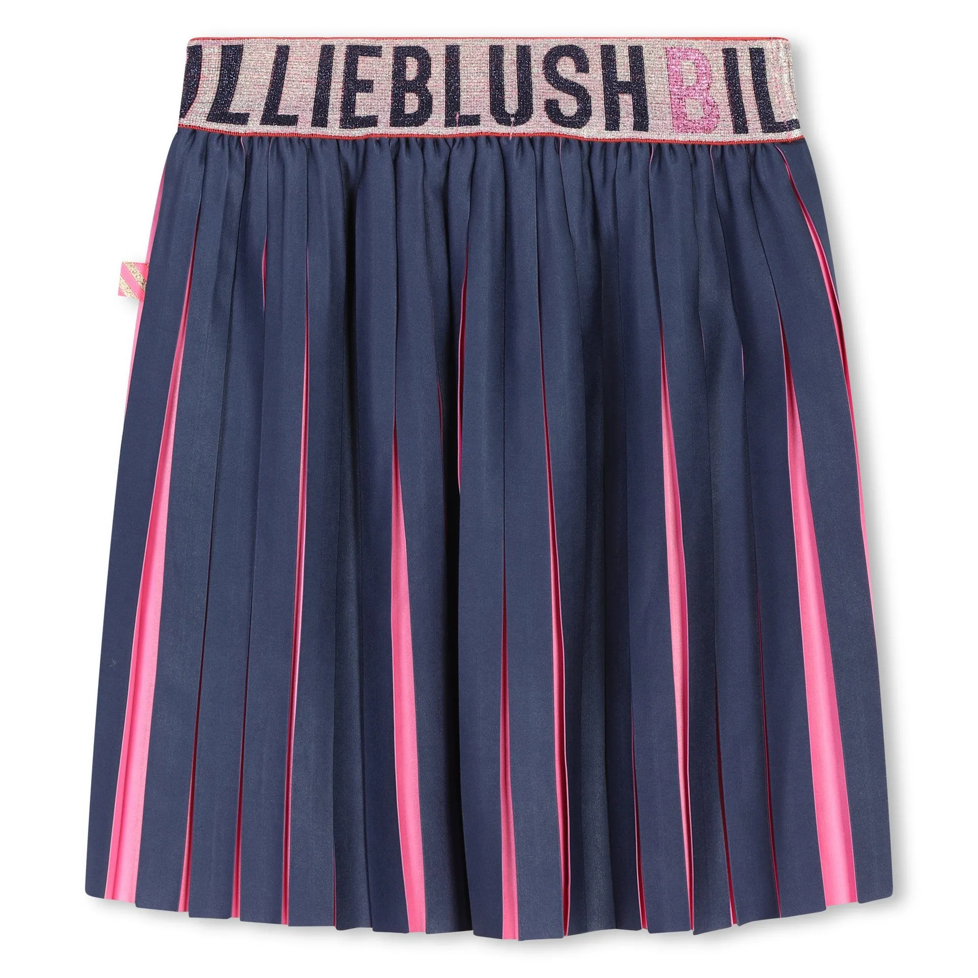 Bilieblush Navy & Pink Pleat Skirt