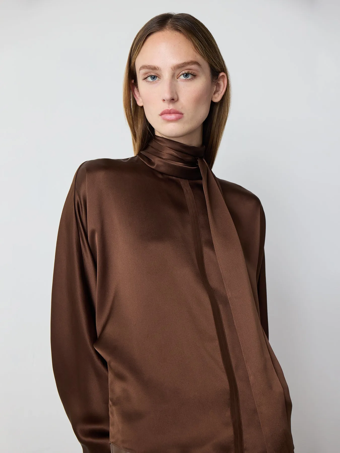 Long Sleeve Silk Tie Blouse in Brown