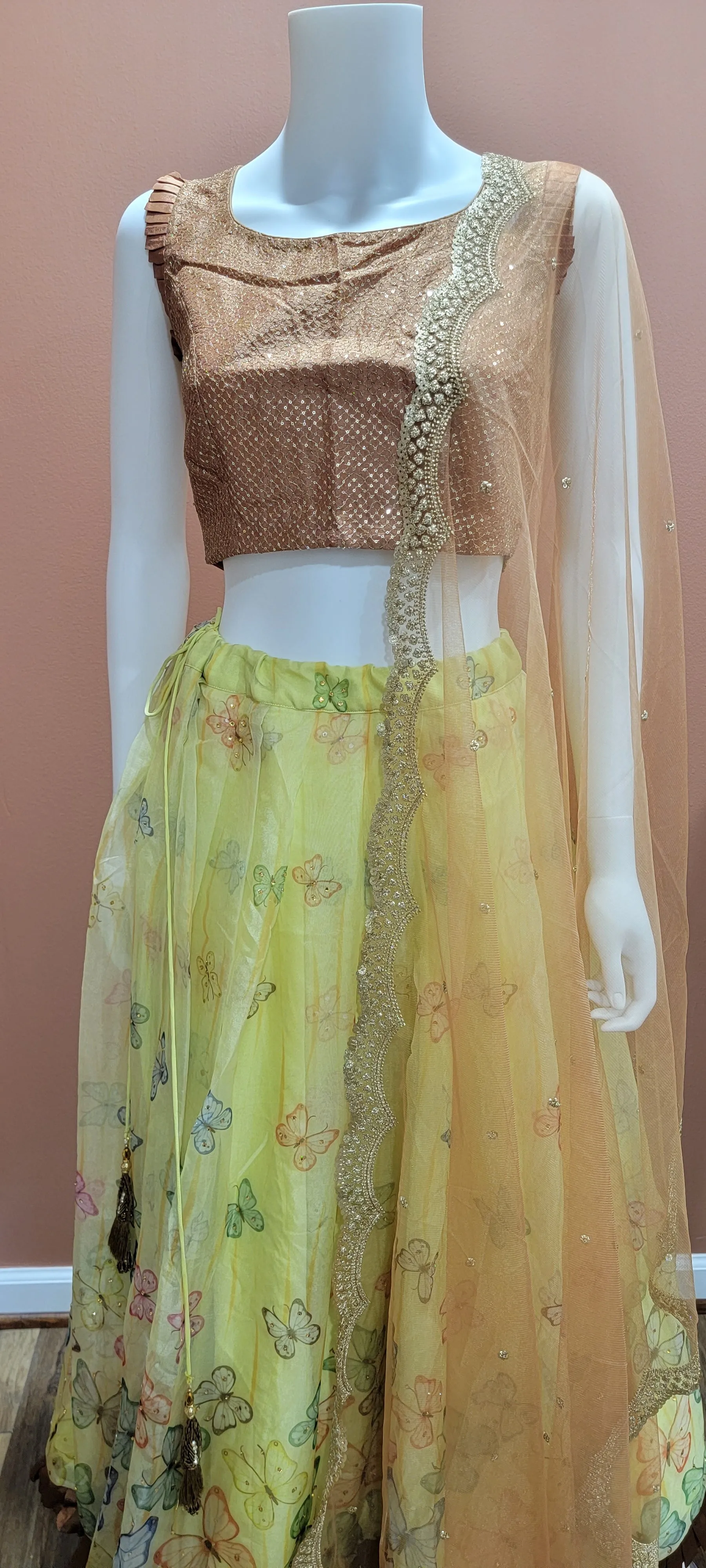 Organza Lehenga Set in Brown and Yellow