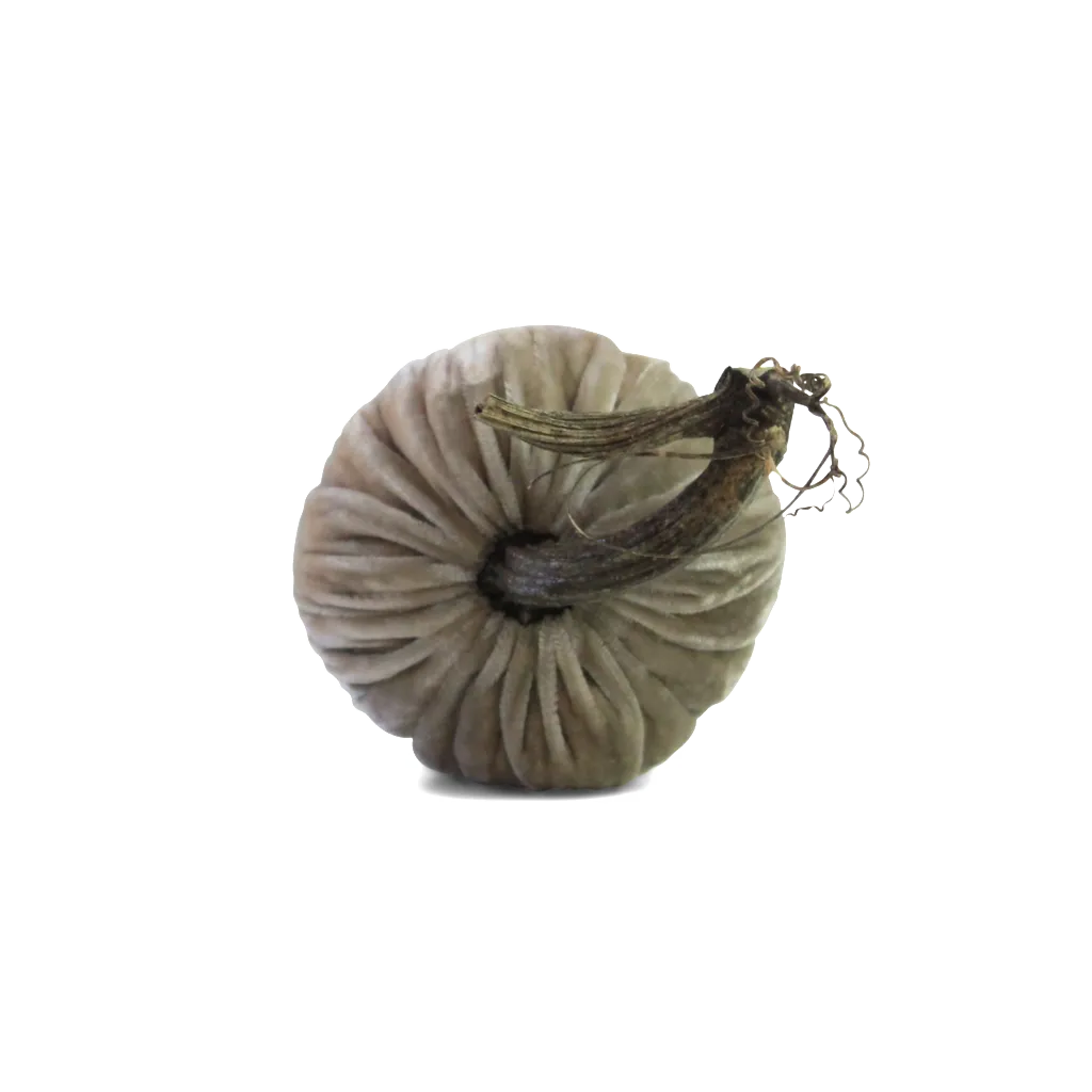 Putty Velvet Pumpkin