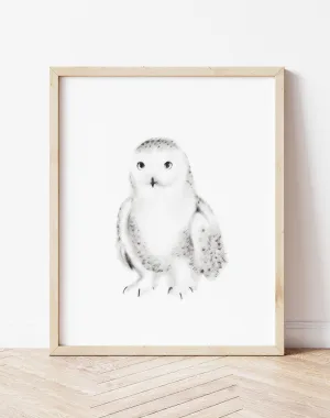 Snowy Owl Pencil Drawing Print