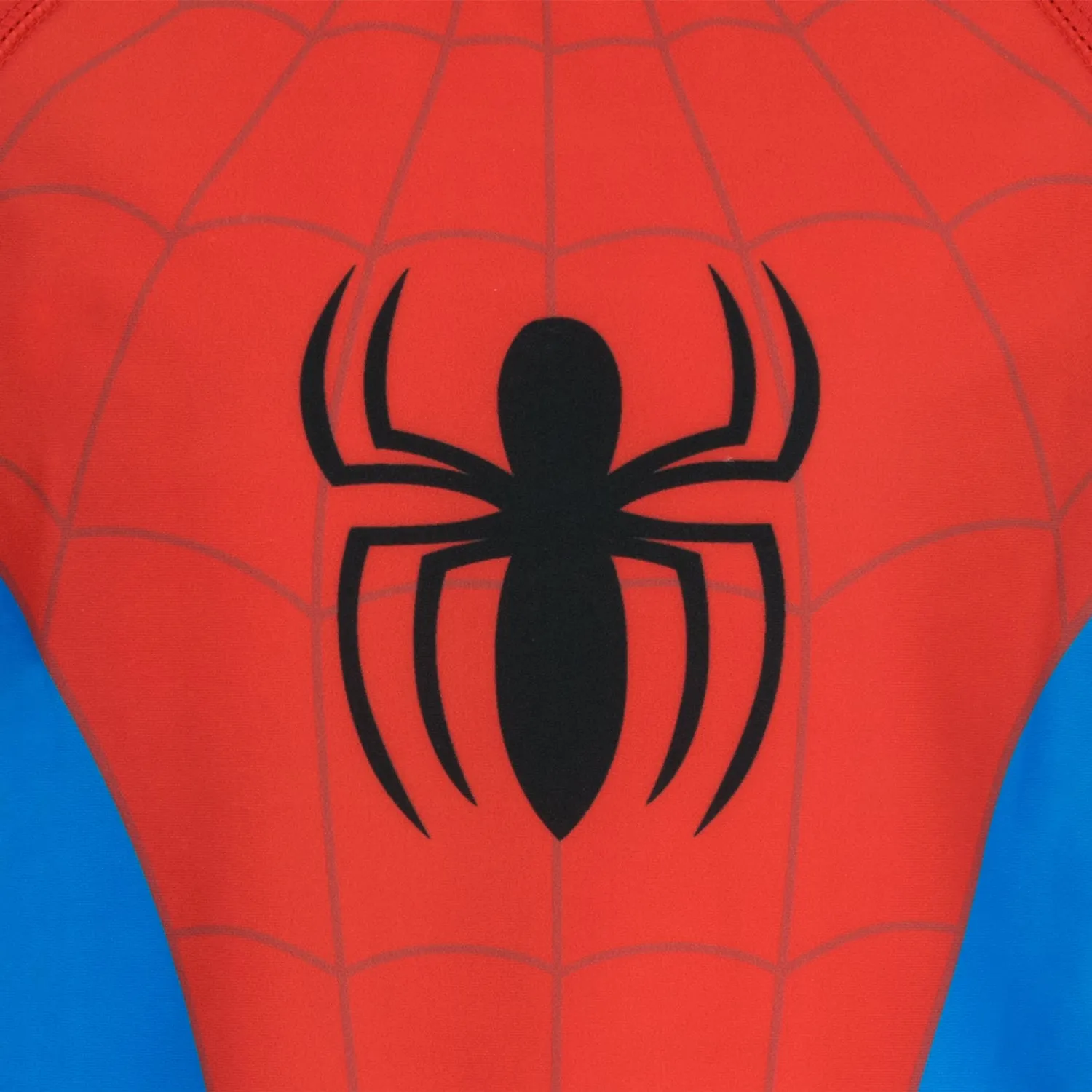 Spiderman Two Piece Swim Set