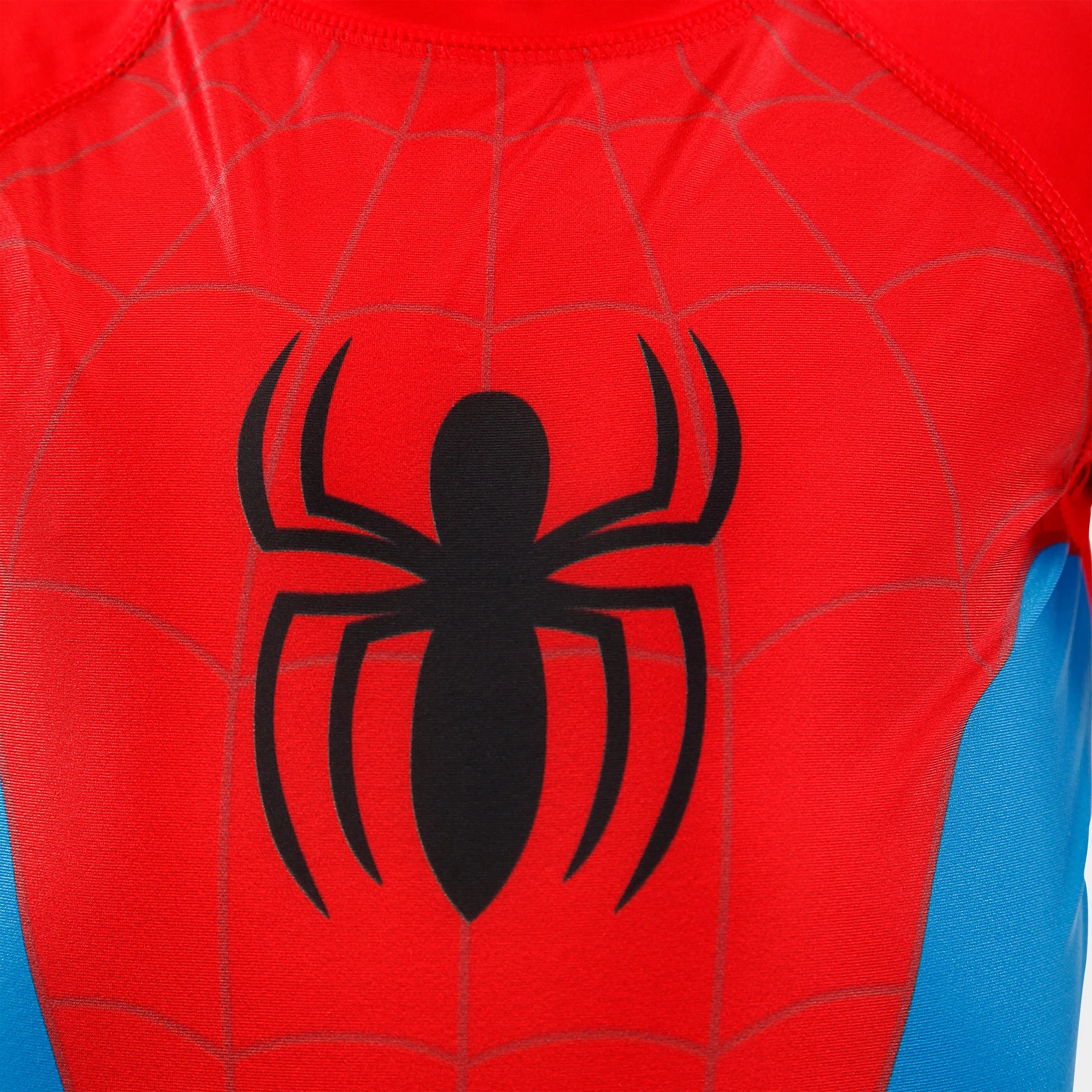 Spiderman Two Piece Swim Set