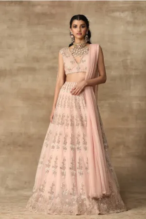 The Aarzoo
