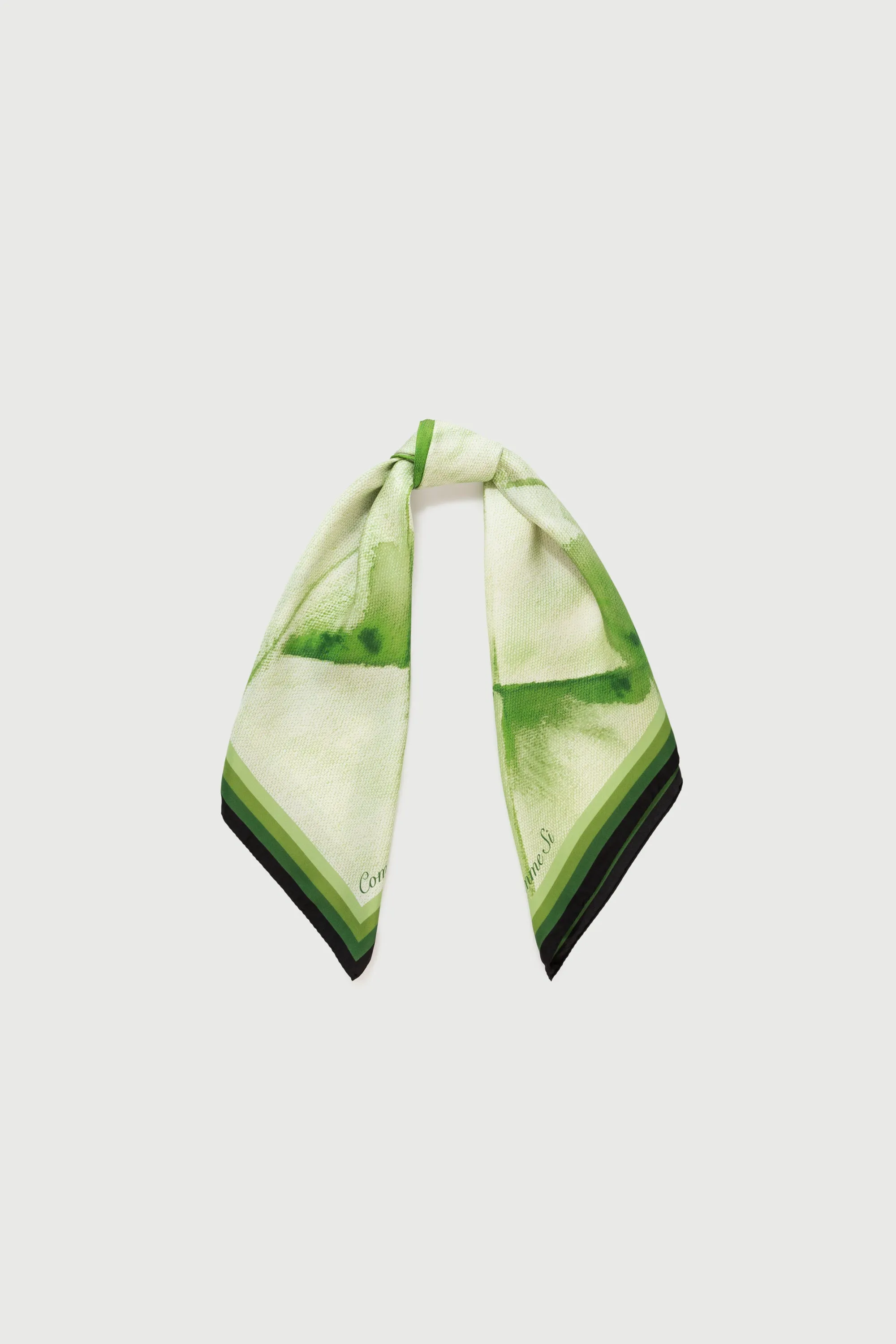 The Silk Scarf