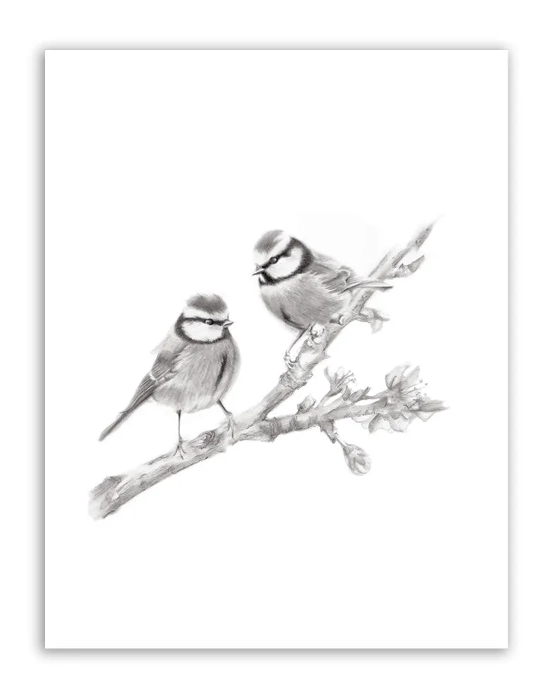 Two Birds on Branch Pencil Drawing Print
